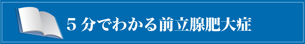 ５分でわかる前立腺肥大症